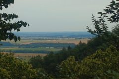 IMG_20220704_114929589