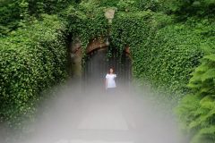 IMG_20220704_202945