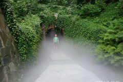 IMG_20220704_203014