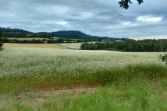 IMG_20220705_120551438_HDR