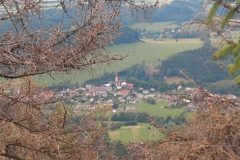 IMG_20220707_131644649