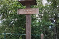 IMG_20220707_140754