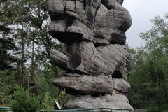 IMG_20220707_163534