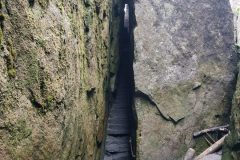 IMG_20220707_164629