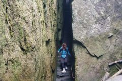 IMG_20220707_164703