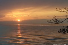 IMG_20190807_211641