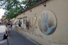 IMG_20190817_114951