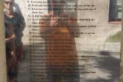 IMG_20190817_115052