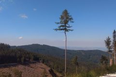 IMG_20220703_160245529