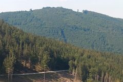 IMG_20220703_160301789