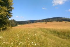 IMG_20220703_165428116