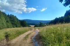 IMG_20220703_171323613_HDR