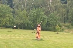 IMG_20220704_110054342