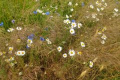 IMG_20220705_112902559_HDR