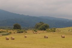 IMG_20220705_112915159