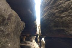 IMG_20220707_133616300