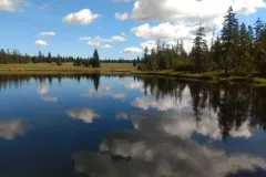 pred8-IMG-20220703-132825226-BURST001