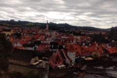 IMG_20210808_142412090