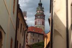 IMG_20210808_155915498