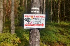 IMG_20210809_111014293_HDR