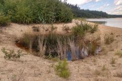 IMG_20210811_125423443_HDR